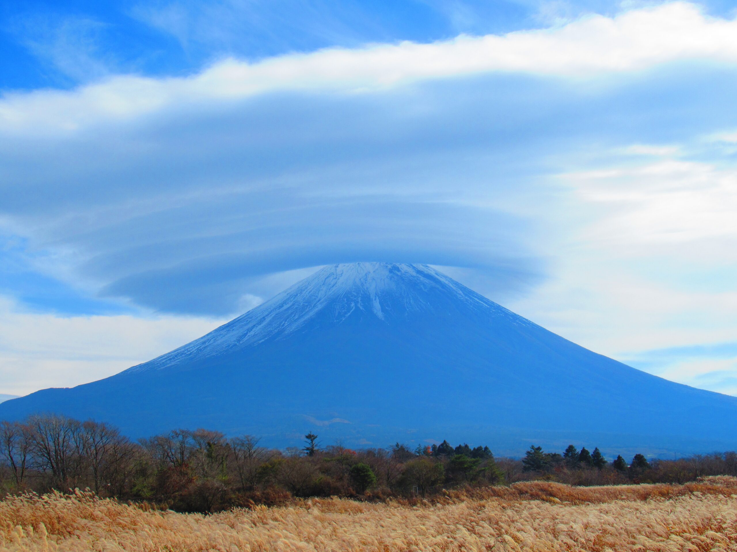 すごい！ラピュタの龍の巣みたい❕富士山が吸い込まれそう