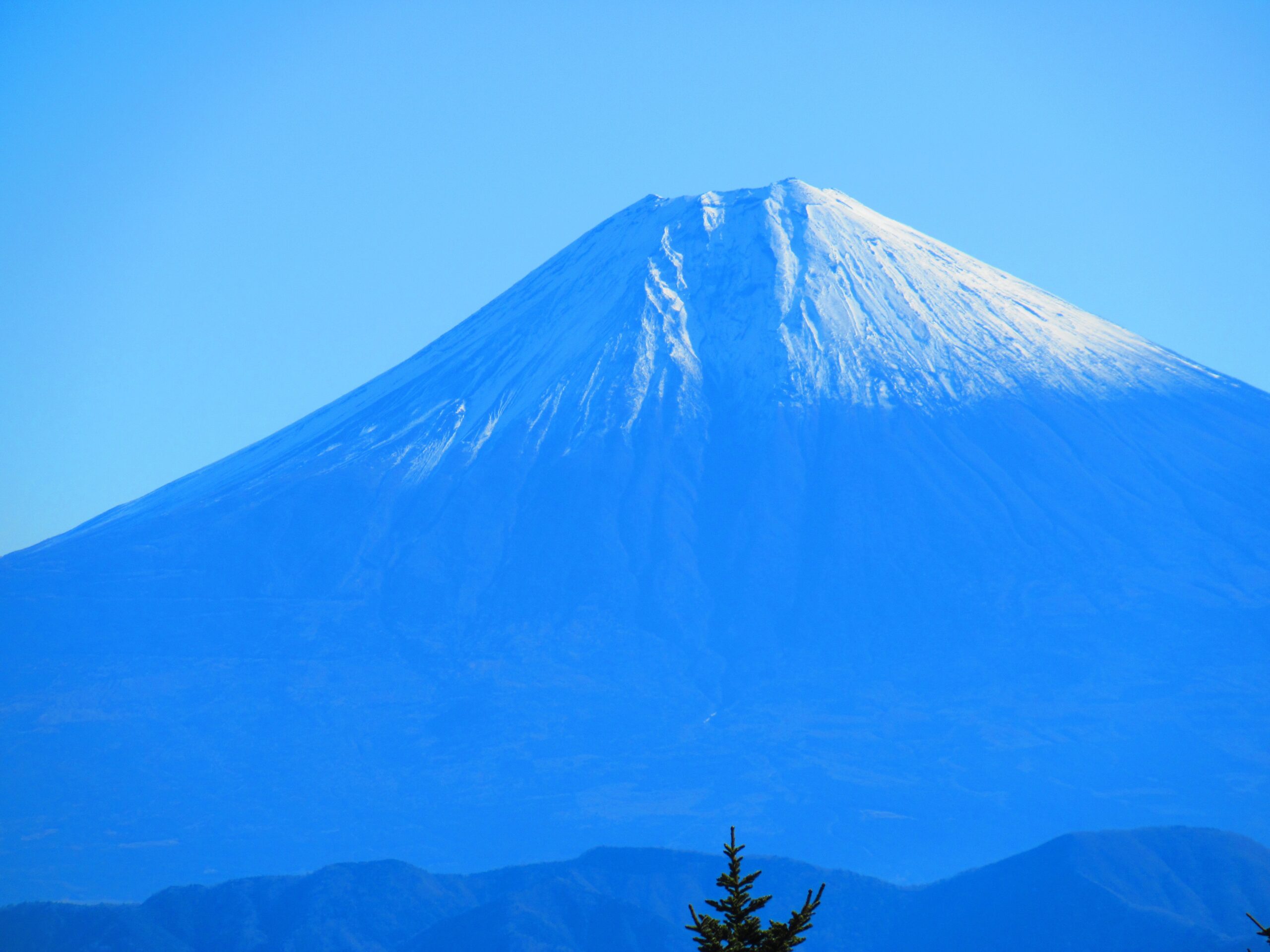雪化粧でキレイになった富士山です