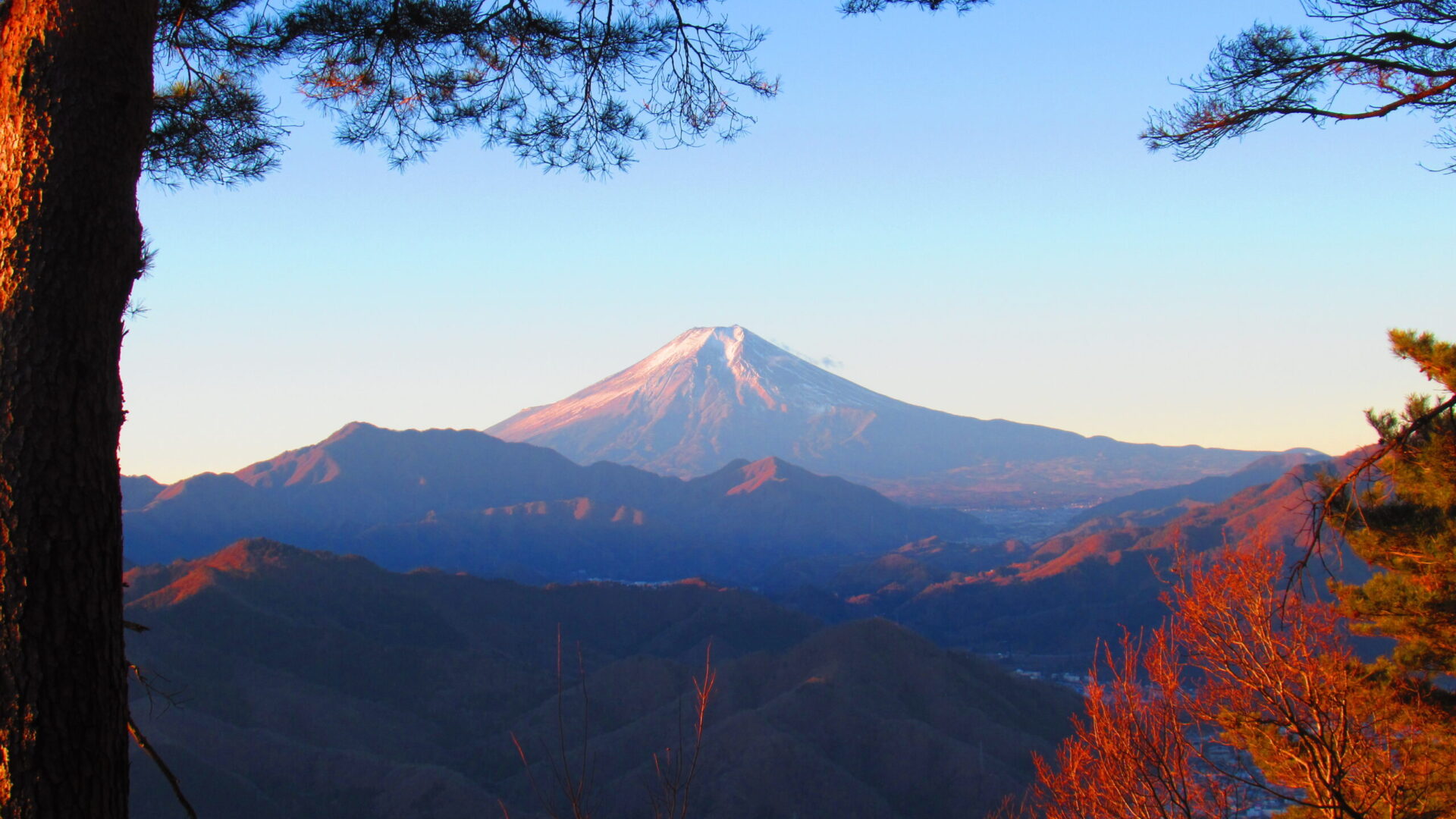 静岡山岳自然ガイド協会のイベントに参加
