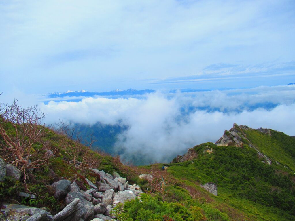雲海の先には南アルプスの山々