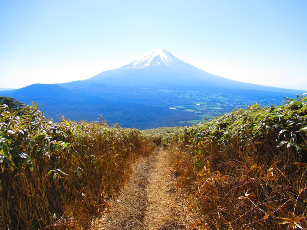 勿論富士山もバッチリ見えますよ👍