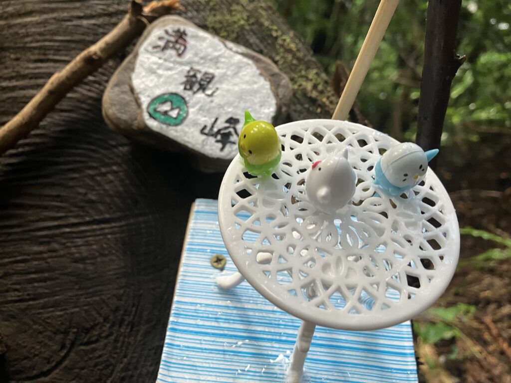 可愛らしい👍