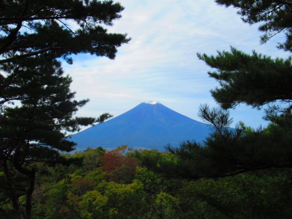 倉見山からの富士山です('ω')ノ