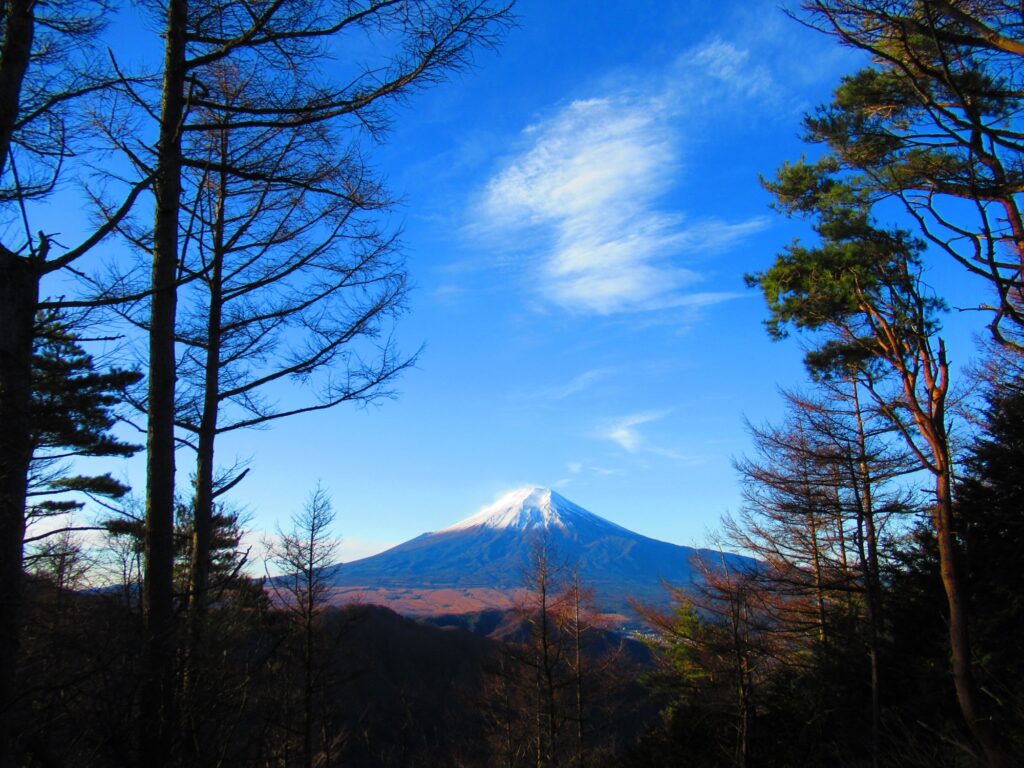 相定ヶ峰からの富士山