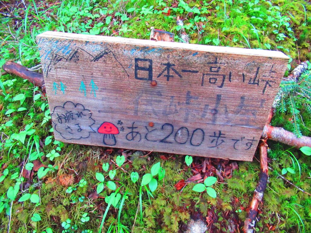 三伏峠まであと少し・・・