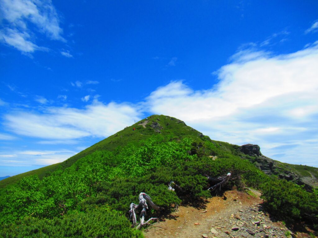 最後に散歩がてら行った烏帽子岳