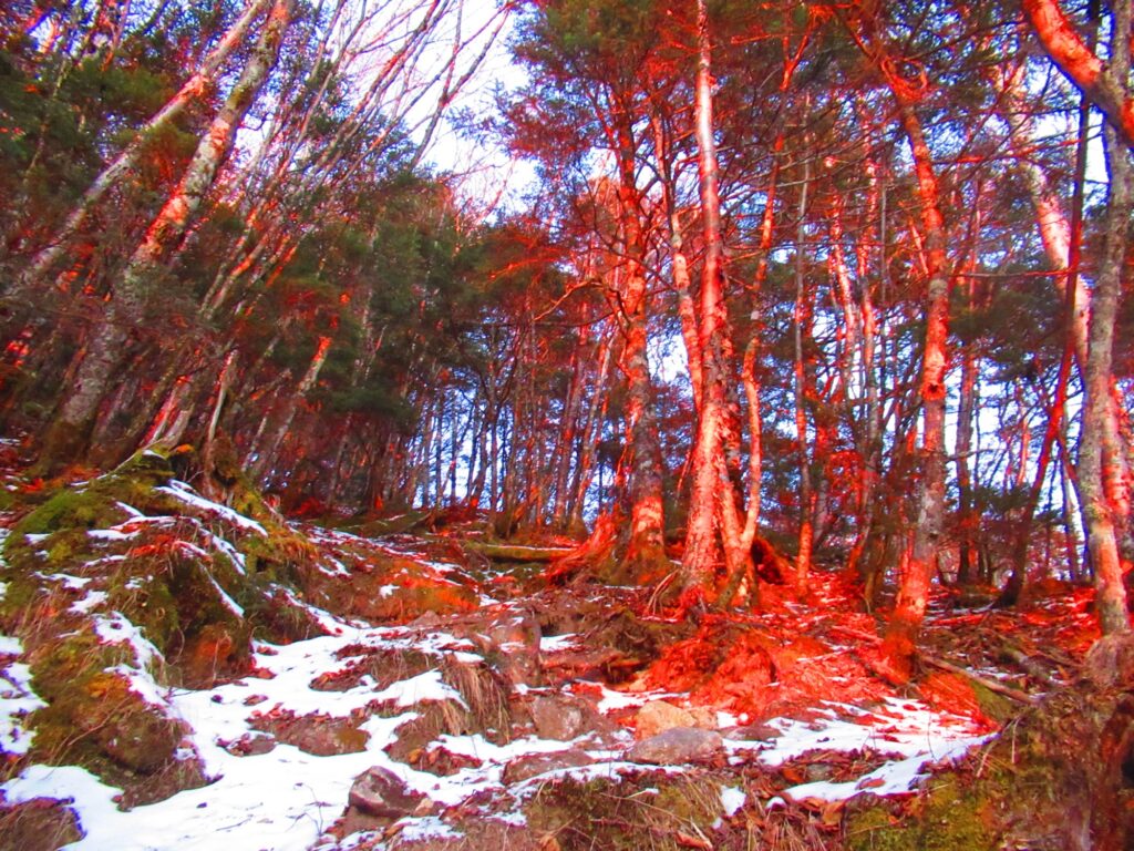 モルゲンで辺りが赤く染まり始めます